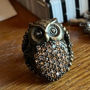 Fossil Owl Crystal Locket Ring, size 8